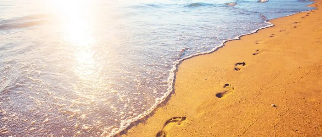 Footprints in golden sand leading along a sunlit beach beside gentle ocean waves at sunrise.